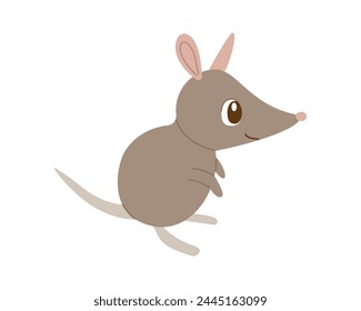 Rabbit Bandicoots. Cartoon zoo character, wild australian rodent, funny small cute nature pet, vector illustration isolated on white background