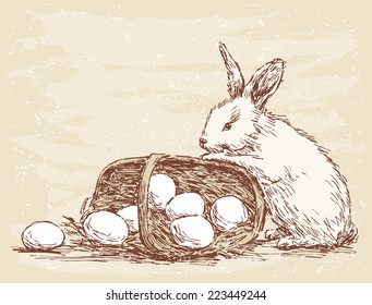 Rabbit with the basket