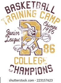 Rabbit basketball training camp, print for boy sportswear in custom colors, grunge effect in separate layer