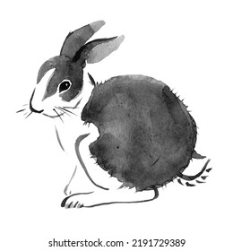 Rabbit black and white watercolor  illustration. Cute bunny ink drawing isolated on white background. Vector illustration of Chinese New Year 2023 symbol, year of the rabbit. 