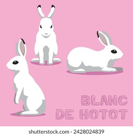 Rabbit Blanc de Hotot Cartoon Vector Illustration