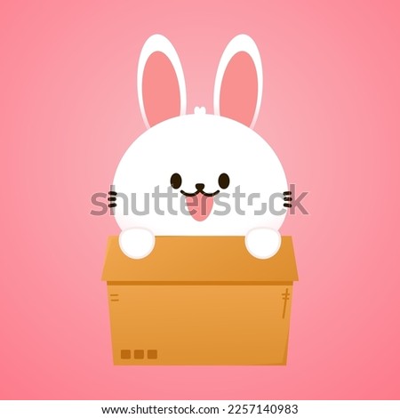Rabbit in box. Cartoon rabbit biting a huge box Valentine's Day greeting card.