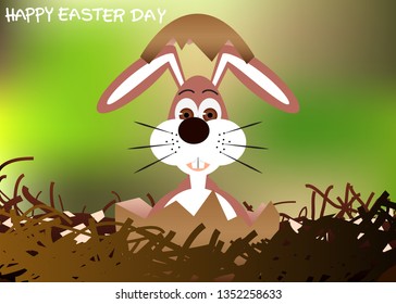 Rabbit is in the broken egg is on nest.
