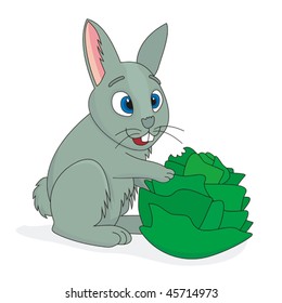 Conejo de conejo con vector de dibujos animados de col