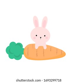 Rabbit bunny with carrot isolated on white background vector illustration. Cute cartoon character for Easter day  or kids wear fashion.