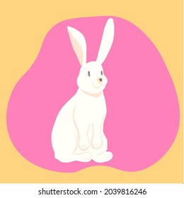 rabbit bunny child drawing fabulous animal white fur pink orange developing card game for children baby kids cartoon character 