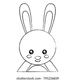 rabbit or bunny cute animal icon image 