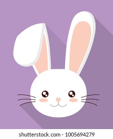 rabbit or bunny icon image