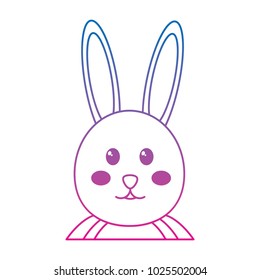 rabbit or bunny icon image    icon image
