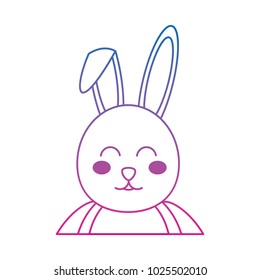 rabbit or bunny icon image    icon image