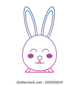 rabbit or bunny icon image    icon image