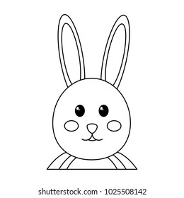 rabbit or bunny icon image 