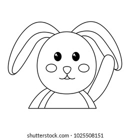 rabbit or bunny icon image 