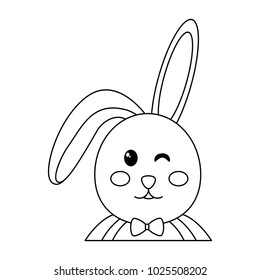 rabbit or bunny icon image 