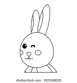 rabbit or bunny icon image 