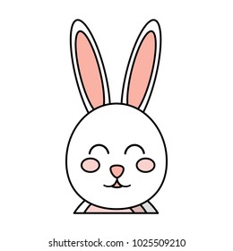 rabbit or bunny icon image 