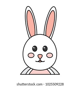 rabbit or bunny icon image 