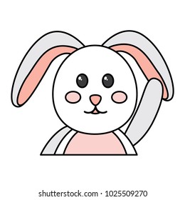 rabbit or bunny icon image 