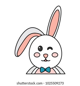 rabbit or bunny icon image 