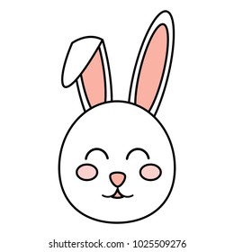 rabbit or bunny icon image 