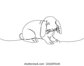 Rabbit, bunny one line art. Continuous line drawing of pet, mammal, breed, zodiac, china, oriental, domestic, easter, bunny, animal, year new, 2023, hare.