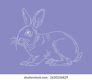 Rabbit bunny outline clip art animal vector illustration easter element isolated editable