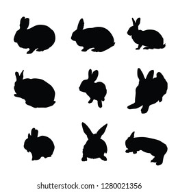 Rabbit, bunny silhouette, vector