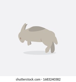 Rabbit, bunny - vector, easter illustration.