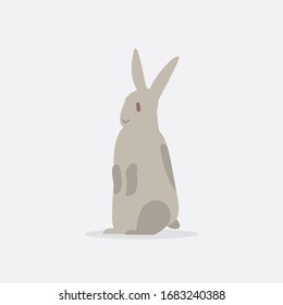 Rabbit, bunny - vector, easter illustration.