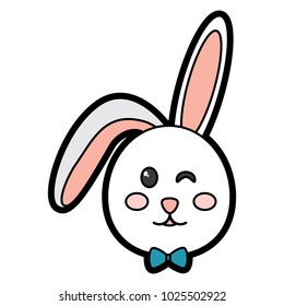 rabbit or bunny wink icon image 