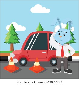 rabbit car get road coned