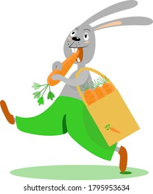 Rabbit with carrot, cartoon character with harvest of carrot, cute bunny walking, eating carrot, concept for healthy products, vegetebles, vitamins. Colorful vector illustration, isolated on white