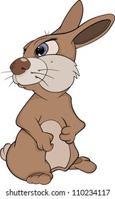 Rabbit Cartoon