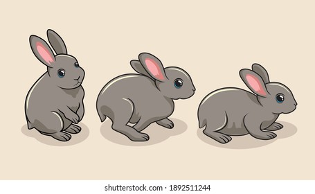 
Rabbit Cartoon Bunny Cute Hare Illustrations Set Collections