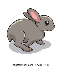 Rabbit Cartoon Bunny Illustration Isolated
