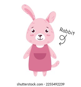 Rabbit cartoon characters with clothes . Vector .