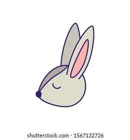 Rabbit cartoon design, Animal cute zoo life nature and fauna theme Vector illustration