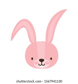 Rabbit cartoon design, Animal cute zoo life nature and fauna theme Vector illustration