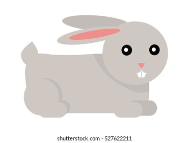 Rabbit cartoon isolated on white. European rabbit, cottontail, Amami rabbit. Pika and hare. Male is called buck and female is doe, a young rabbit is kitten or kit. Sticker for children. Vector