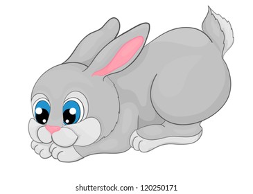 rabbit cartoon , with isolation on a white background