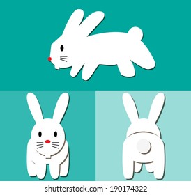 Rabbit cartoon pattern with side view, front view & back view. vector / illustration
