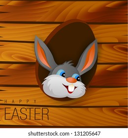 rabbit cartoon vector illustration design