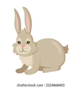 Rabbit character. Easter bunny sitting. Illustration isolated in white background. Easter, farm, animal concept