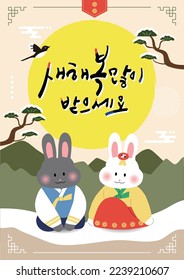 A rabbit character wearing a hanbok greeting the new year. Korean Phrase: Happy New Year