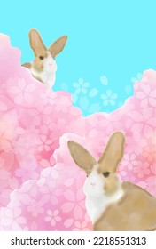 Rabbit Cherry Blossoms New Year's card background