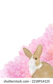 KaninchenKirschblüten Neujahrskartenhintergrund
