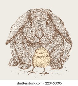 rabbit and chick