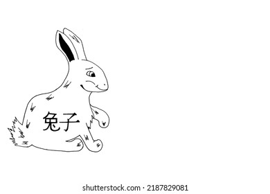 Rabbit and Chinese character 
which means rabbit with copy space. Background with the symbol of the 2023 new year according to the Chinese calendar. 兔子 - rabbit by chinese language.