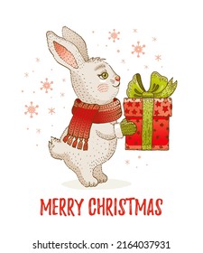 Rabbit Christmas. Bunny New year. Chinese 2023 happy year vector. Cute Christmas winter animal background. Adorable snow hare banner card. Cartoon sketch xmas holiday rabbit with gift box. White bunny