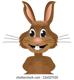 rabbit close-up on white background